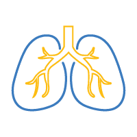 Interaventional pulmonology